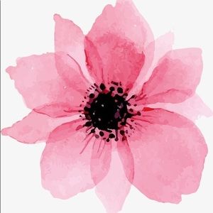 Meet your Posher, Norma